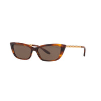 Ralph Lauren Brown Sunglasses RL817355500773