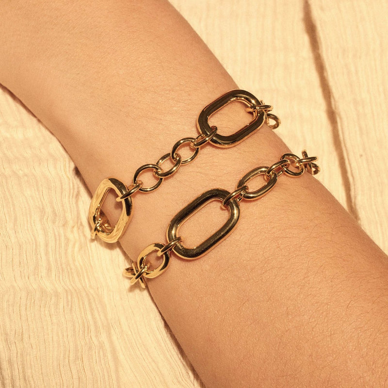 Parte Di Me Bibbiena Poppi Gionna 925 Sterling Zilveren Gold Plated Schakelarmband PDM32142-zoom-