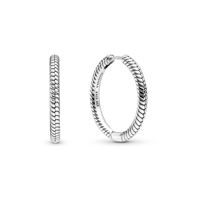 Pandora Icons 925 Sterling Silver Oorringen 299532C00-zoom-