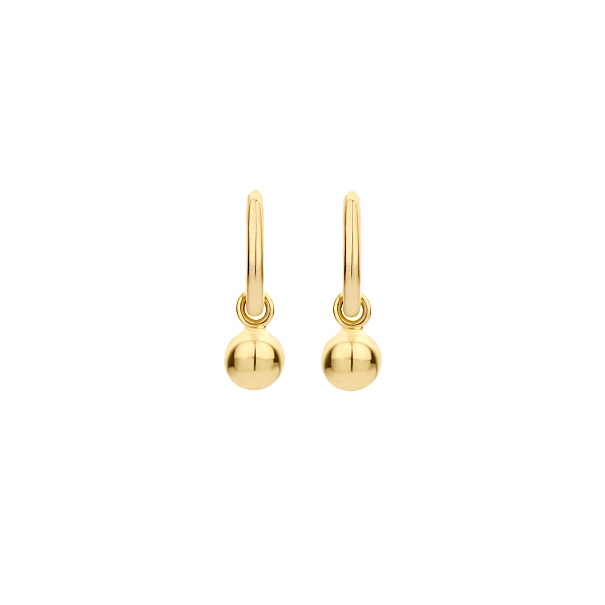 Blush 14 Carat Golden Earrings 9062YGO