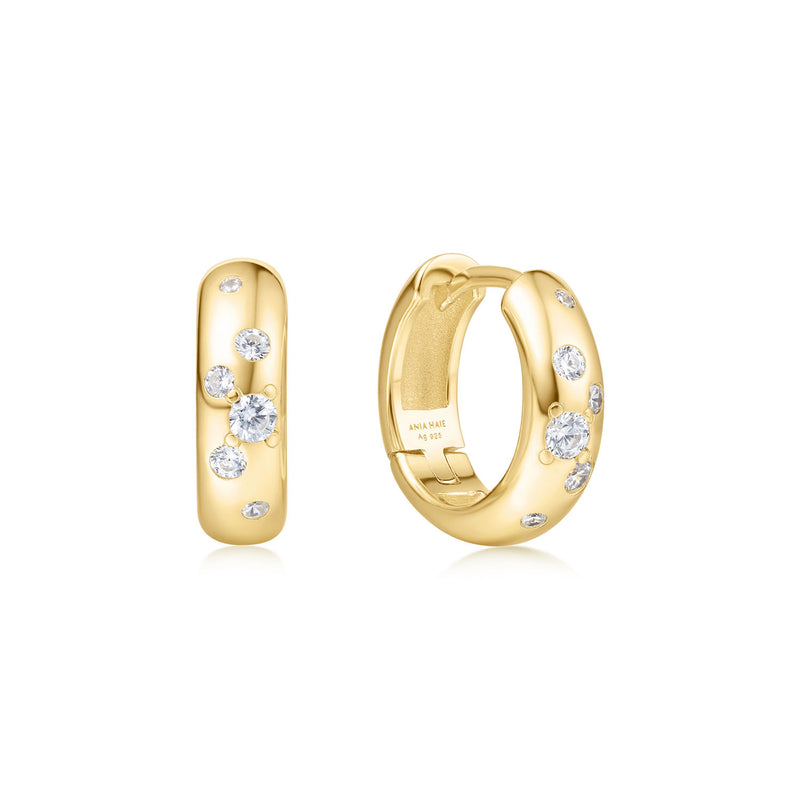 Ania Haie Miss Dainty Goudkleurige Zirkonia Oorbellen AH-E065-04G-zoom-