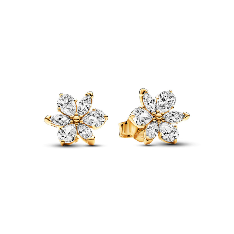 Pandora Timeless Gold-coloured Earrings 262633C01with14 Carat Gold Plating-zoom-
