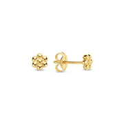 Jackie Gold 14K Golden Ear Studs JKE23.307