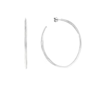 Calvin Klein RVS Oorbellen 2002-CJ35000111