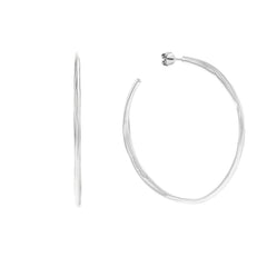 Calvin Klein Stainless Steel Earrings 2002-CJ35000111