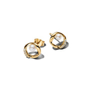 Pandora Essence Verguld Organisch Gevormd Pavé Circle & Treated Freshwater Cultured Pearl Oorknoppen 264662C01