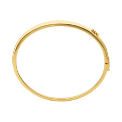 Michael Kors Premium Brass Bracelet MKJ8540710