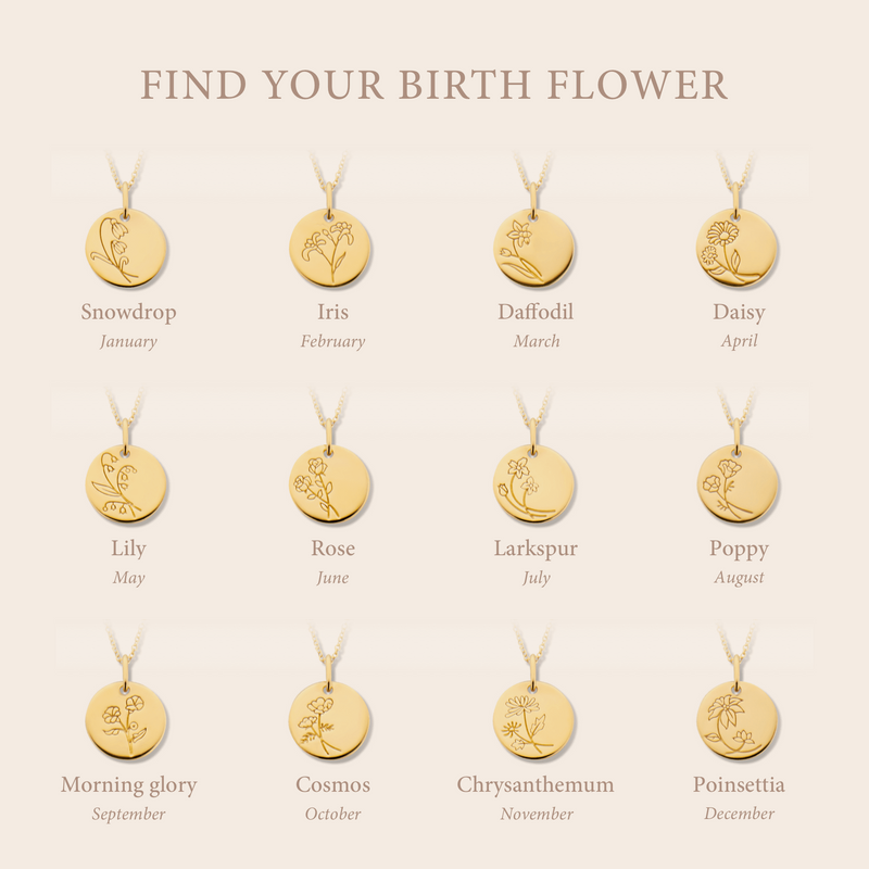 Violet Hamden Venus 925 Sterling Zilveren Gold Plated Ketting met Geboortebloem VH340025-DEC-zoom-