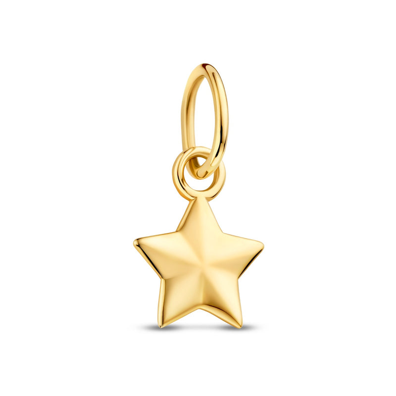 Isabel Bernard Le Marais Ster 14 karaat gouden bedel IB350058-zoom-