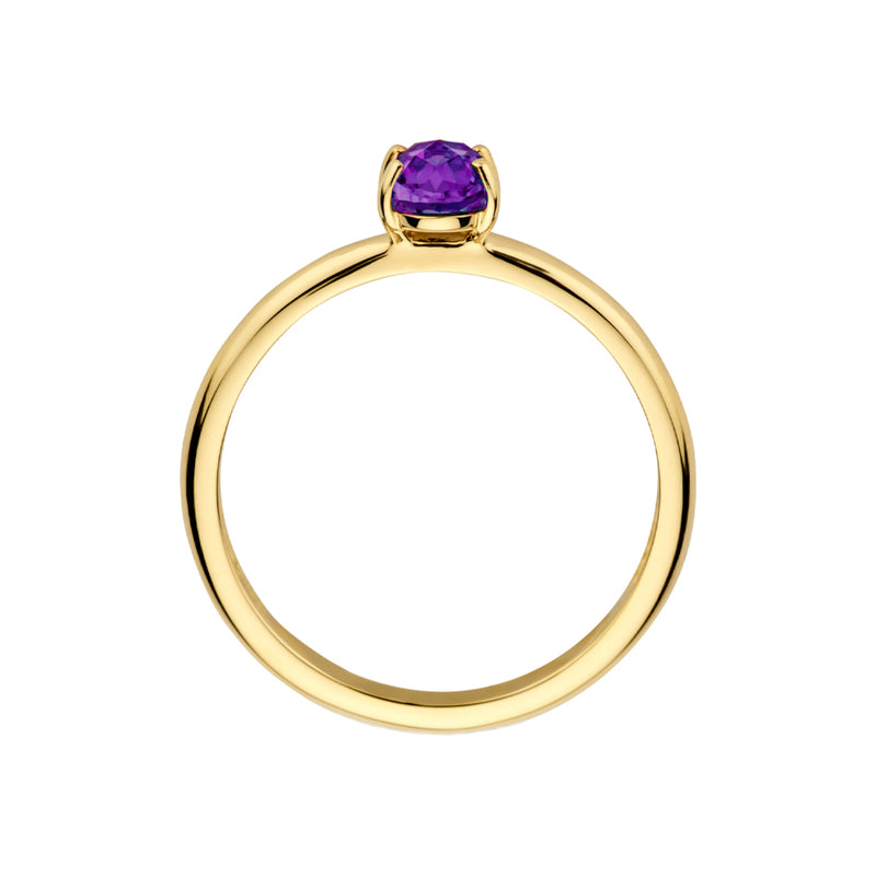 Blush 14 Karaat Gouden Ring 1242YAM/58-zoom-