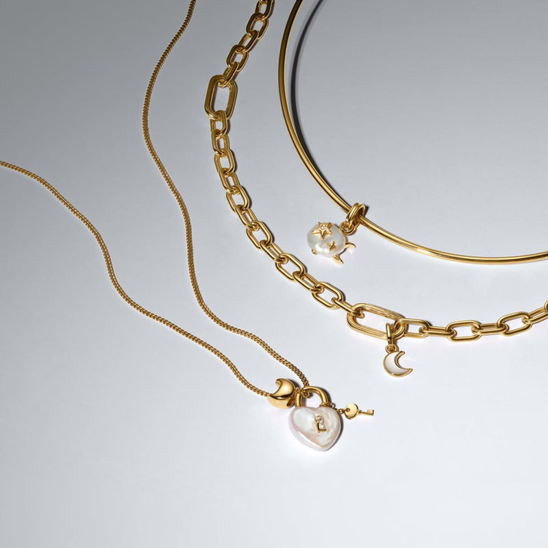 Pandora Moments Verguld Tubular Choker Ketting 364705C00-M-zoom-