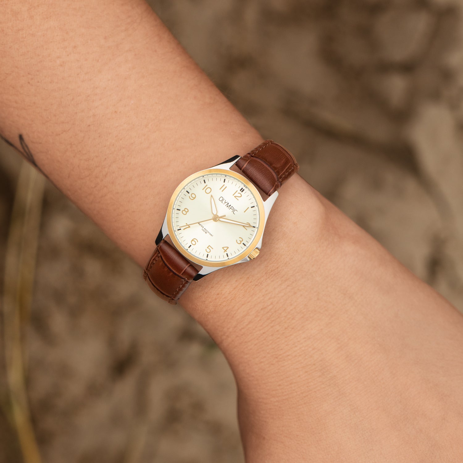 Olympic Robin Zilverkleurig Dames Horloge 2002-OL72DSL048B