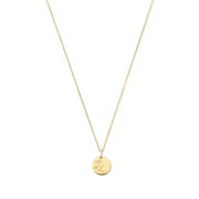 Violet Hamden Venus 925 Sterling Zilveren Gold Plated Ketting met Geboortebloem VH340025-NOV