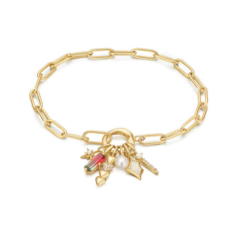 Ania Haie Pop Charms Gold Coloured Charm AH-NC048-01G-zoom-
