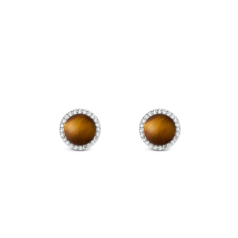 Daniel Wellington Audrey Tiger Eye Oorbellen DW00401421-zoom-
