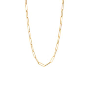 Blush 14 karaat Gouden Ketting 3130YGO