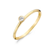 Blush 14 Karaat Gouden Ring1198YZI/46 (Maat: 46)