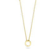 Blush 14 Karaat Gouden Ketting 3150YGO