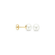 Blush 14 Carat Golden Earrings 7136YPW