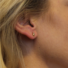 GLOW 14 Karat Gold Earrings 2002-206_0465_00