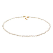 Elli 925 Sterling Silver Choker 2004-BF-0008059-001