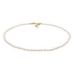 Elli 925 Sterling Silver Choker 2004-BF-0008059-001