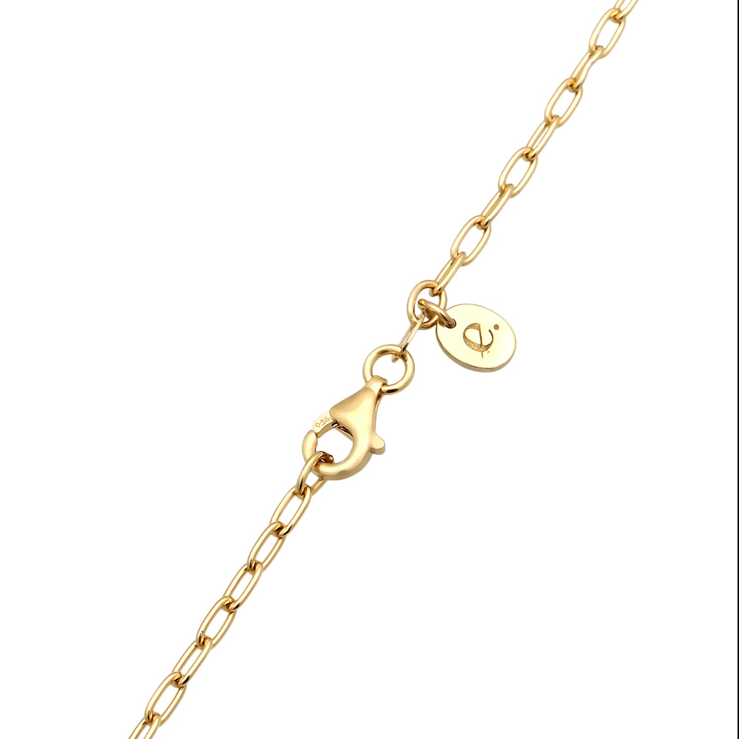 Elli 925 Sterling Silver Necklace with Sapphire 2004-BF-0008263-001