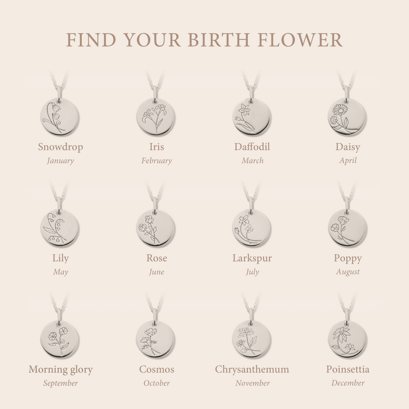 Violet Hamden Venus 925 Sterling Zilveren Ketting met Geboortebloem VH340026-JUN-zoom-