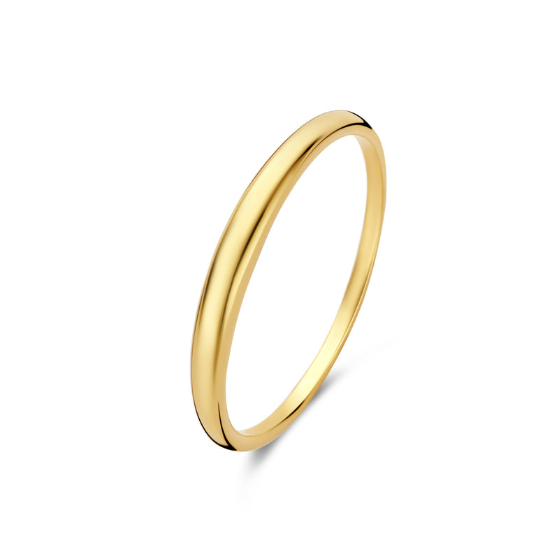 Isabel Bernard Rivoli Maryn 14 Karaat Gouden Ring IB330099-48-zoom-