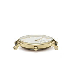 Daniel Wellington Petite Evergold Gold Watch DW00100350