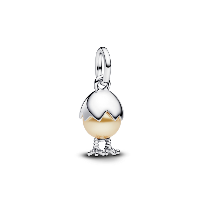Pandora Moments 925 Sterling Silver Paasei Hangende Bedel 793748C01-zoom-