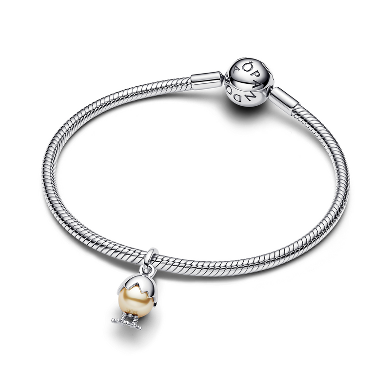 Pandora Moments 925 Sterling Silver Paasei Hangende Bedel 793748C01-zoom-