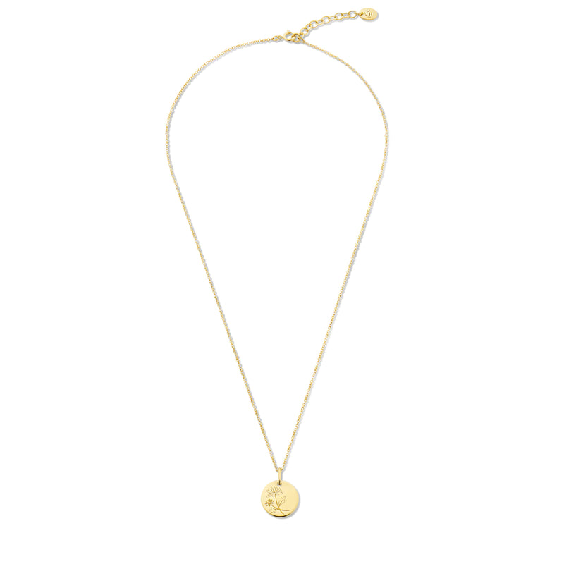Violet Hamden Venus 925 Sterling Zilveren Gold Plated Ketting met Geboortebloem VH340025-JUN-zoom-