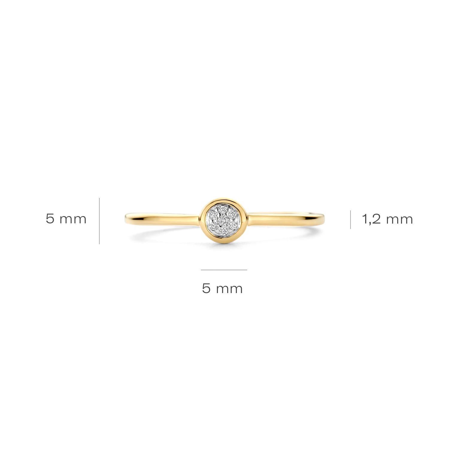 Blush Natural Diamonds 14 karat gold Ring 1679BDI/54