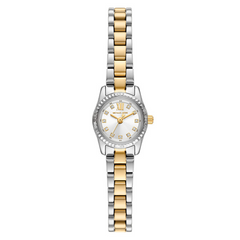 Michael Kors Lexington Silver Micro Petite Women's Watch MK4903