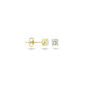 Blush 14 Carat Golden Earrings 7128YZI