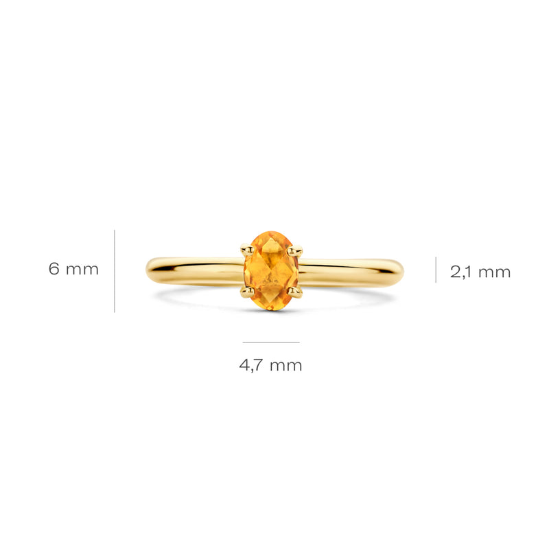 Blush 14 Karaat Gouden Ring 1242YCI/58-zoom-