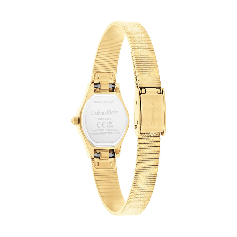 Calvin Klein CONTEMPORARY Zilverkleurig Dames Horloge 2002-CK25100193-zoom-