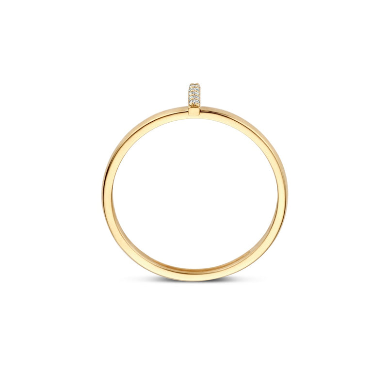 Blush 14 Karat Gouden Ring 1252YZI/50-zoom-