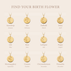 Violet Hamden Venus 925 Sterling Silver Gold-coloured Necklace with Birthflower VH340025-JAN