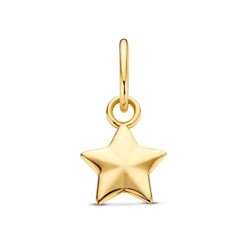 Isabel Bernard Le Marais Ster 14 karaat gouden bedel IB350058-zoom-
