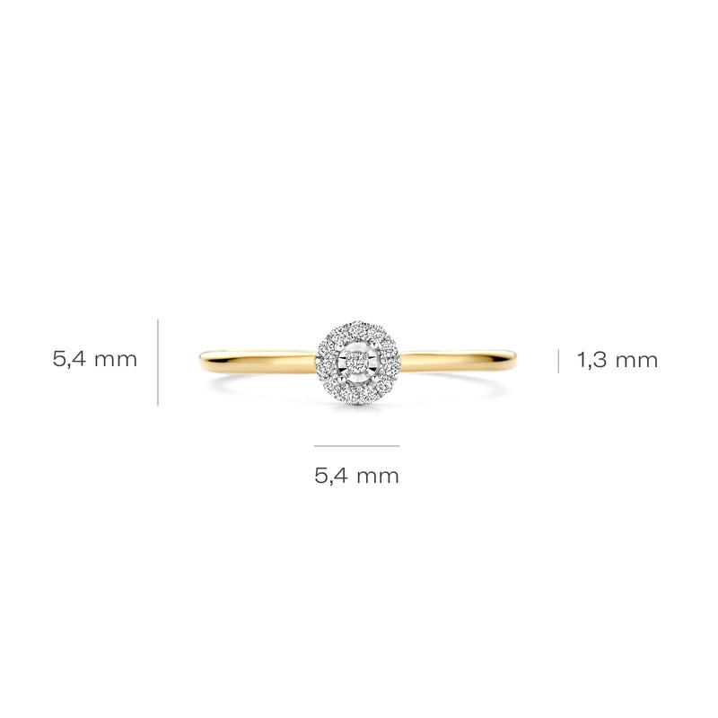 Blush Natural Diamonds 14 karat gold Ring 1678BDI/54-zoom-